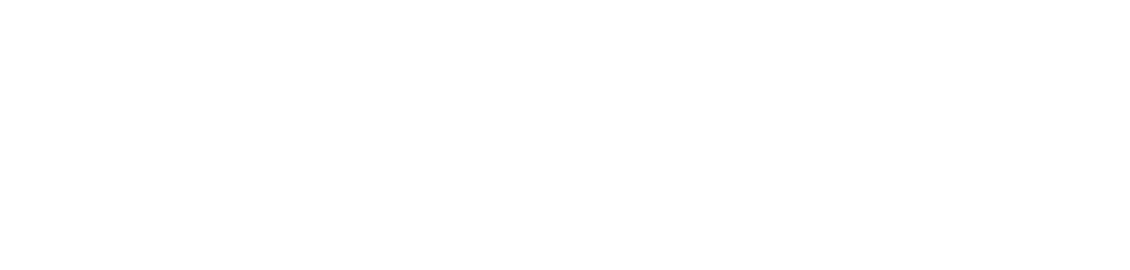 IT_Finanziato_dall_Unione_europea_RGB_WHITE_Outline